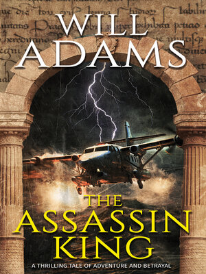 The Assassin King - ebook